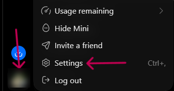 The profile menu with Settings highlighted