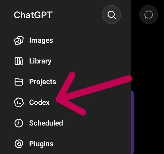 The phone menu with Codex highlighted