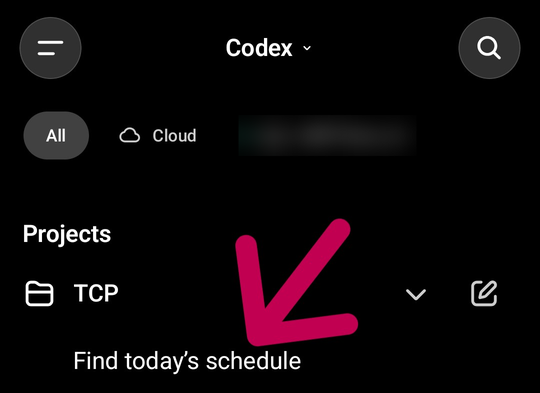 The Codex list on the phone showing the project and the chat
